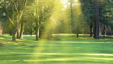 Benson Horsley Funeral Home